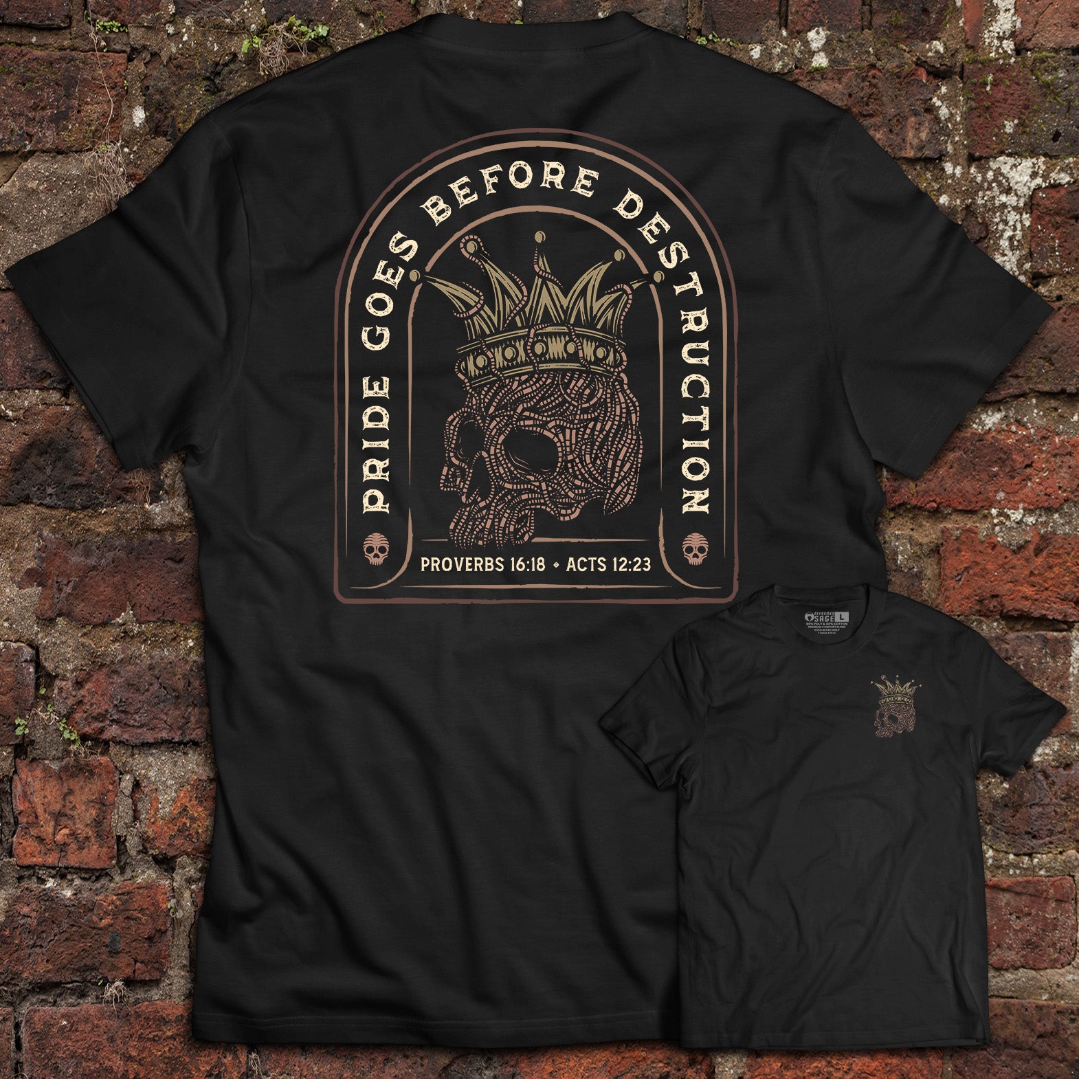 Pride Goes Before Destruction - Tee