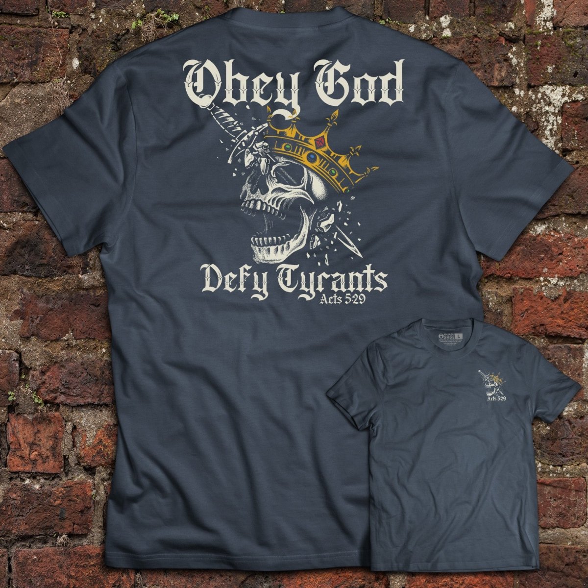 Shirt - Defy Tyrants - Tee - The Reformed Sage - reformed - reformed_gifts - christian_gifts