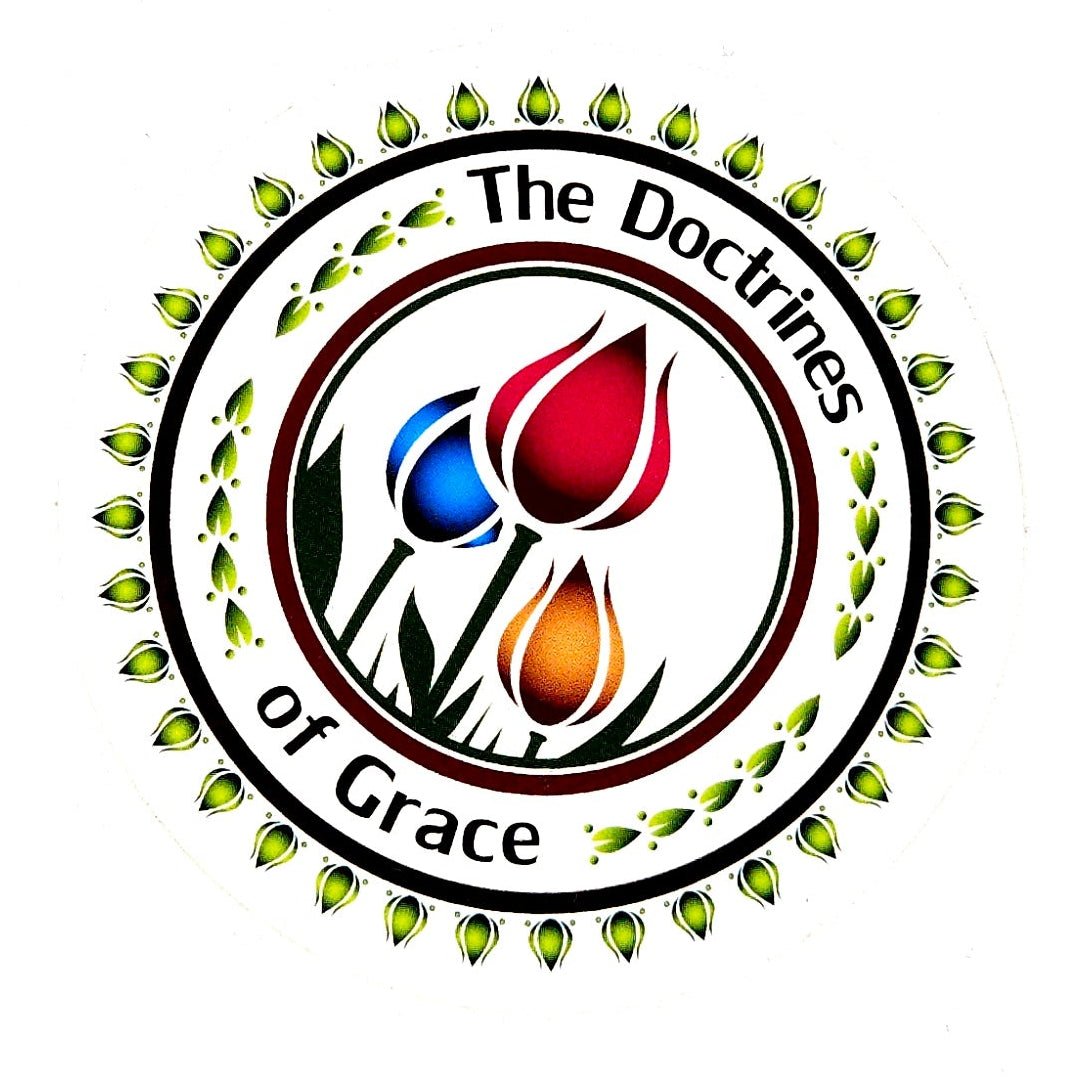 Decal - Doctrines of Grace - Decal - The Reformed Sage - reformed - reformed_gifts - christian_gifts