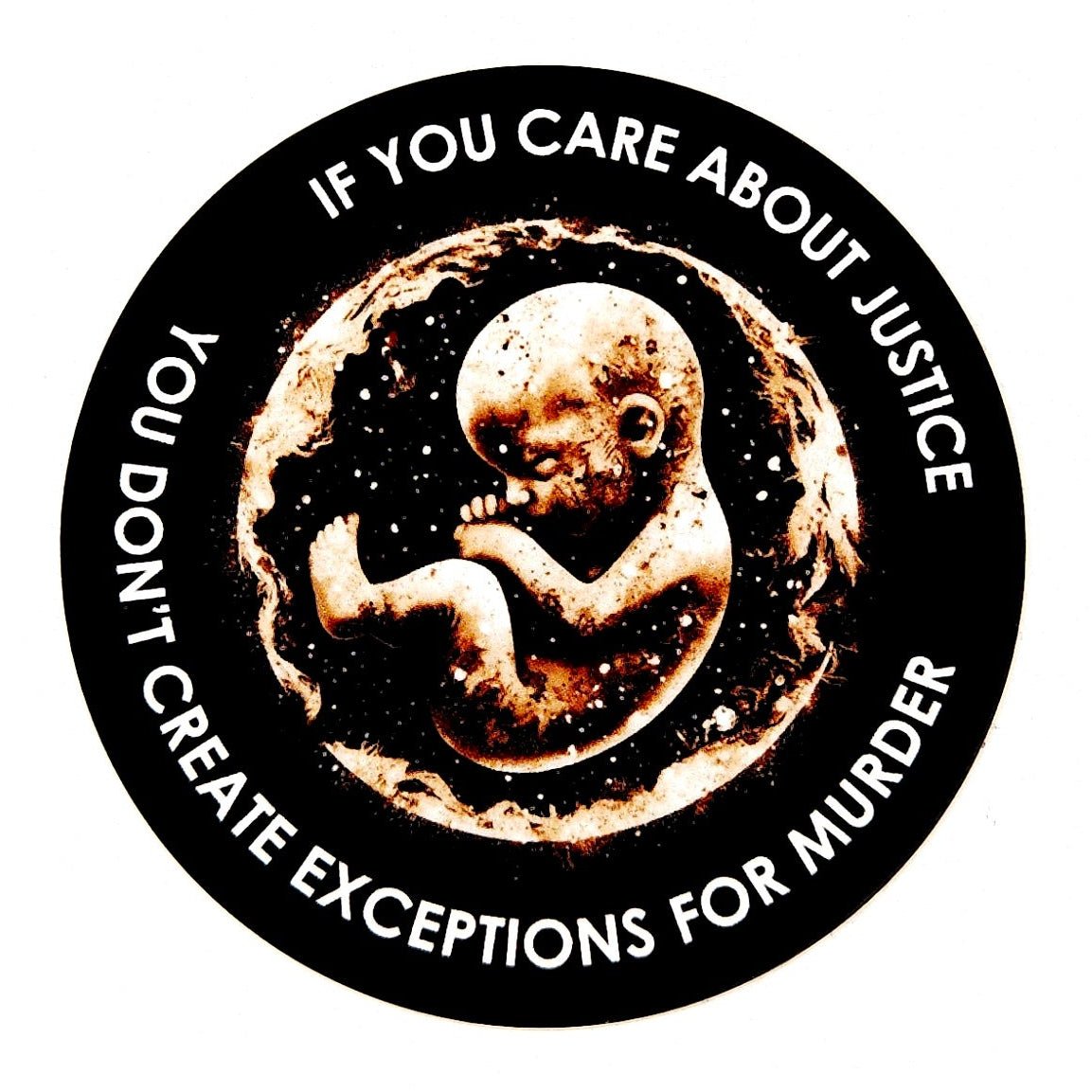 Decal - No Exceptions - Decal - The Reformed Sage - reformed - reformed_gifts - christian_gifts