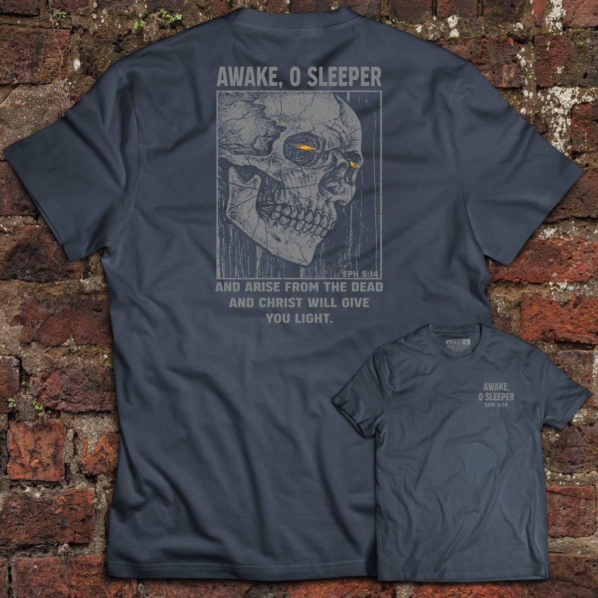 Shirt - Sleeper - Tee - The Reformed Sage - reformed - reformed_gifts - christian_gifts