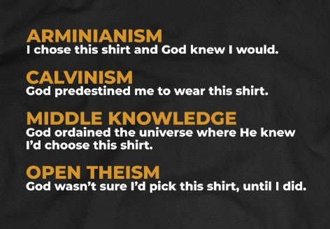 Shirt - Theology Nerd - Tee - The Reformed Sage - reformed - reformed_gifts - christian_gifts
