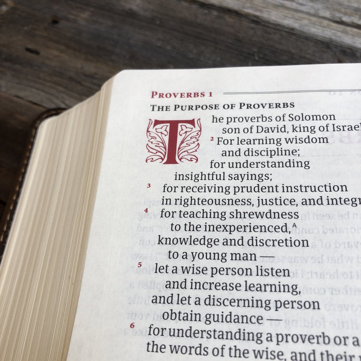 Bible - Ancient Faith Study Bible - The Reformed Sage - #reformed# - #reformed_gifts# - #christian_gifts#