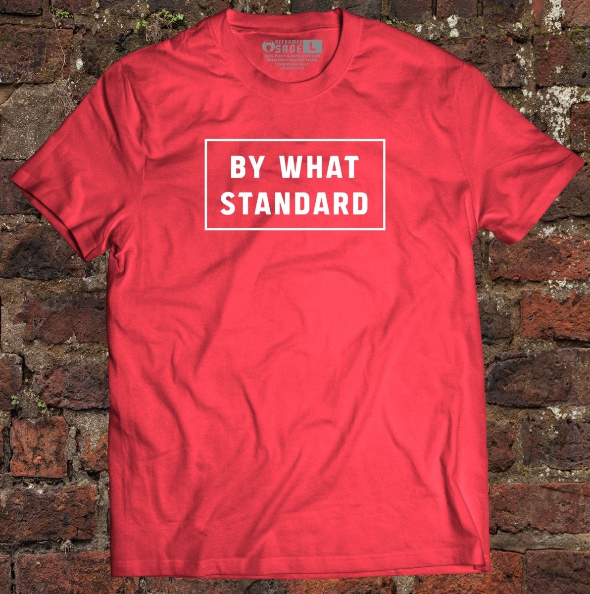 Shirt - By What Standard - Tee - The Reformed Sage - reformed - reformed_gifts - christian_gifts