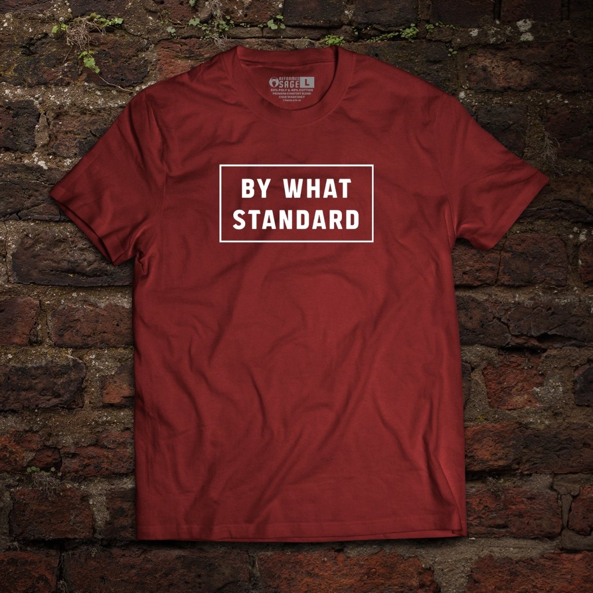 Shirt - By What Standard - Tee - The Reformed Sage - reformed - reformed_gifts - christian_gifts