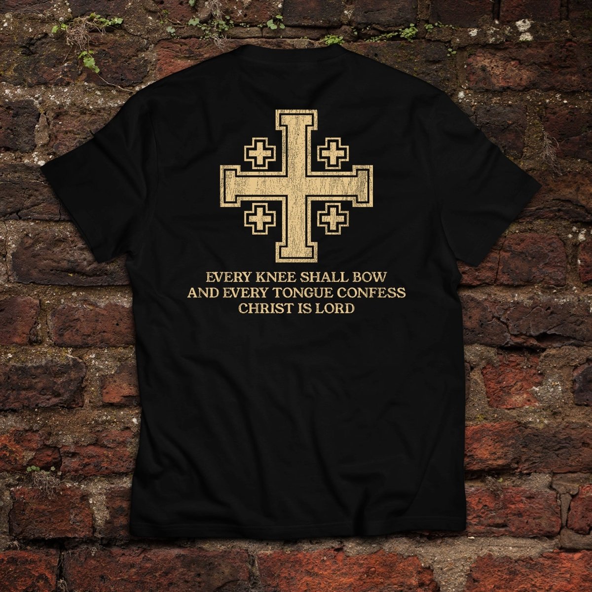 Shirt - Confess - Tee - The Reformed Sage - reformed - reformed_gifts - christian_gifts