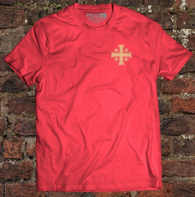 Shirt - Confess - Tee - The Reformed Sage - reformed - reformed_gifts - christian_gifts