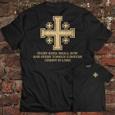 Shirt - Confess - Tee - The Reformed Sage - reformed - reformed_gifts - christian_gifts