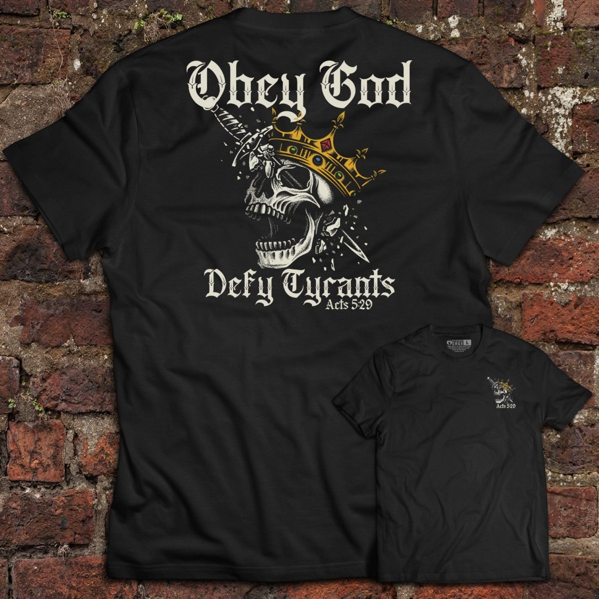 Shirt - Defy Tyrants - Tee - The Reformed Sage - reformed - reformed_gifts - christian_gifts