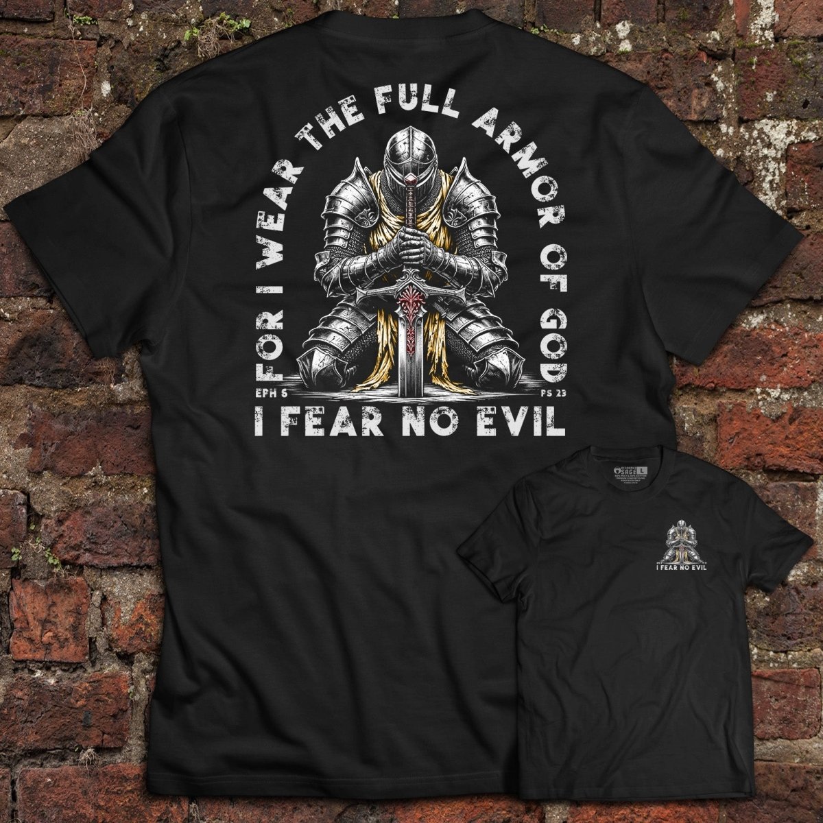 Shirt - Fear No Evil - Tee - The Reformed Sage - reformed - reformed_gifts - christian_gifts