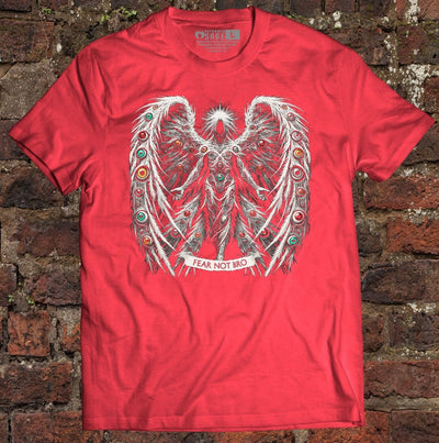 Shirt - Fear Not Bro - Tee - The Reformed Sage - reformed - reformed_gifts - christian_gifts