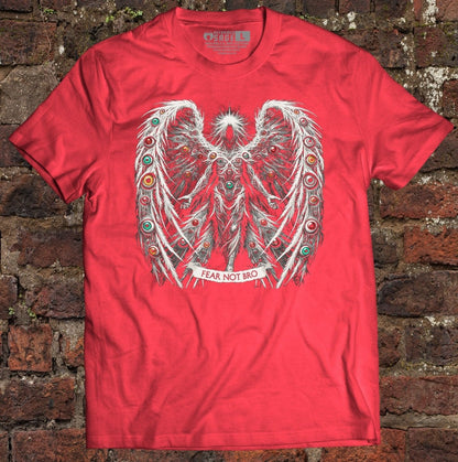 Shirt - Fear Not Bro - Tee - The Reformed Sage - reformed - reformed_gifts - christian_gifts