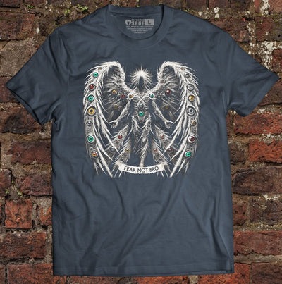 Shirt - Fear Not Bro - Tee - The Reformed Sage - reformed - reformed_gifts - christian_gifts