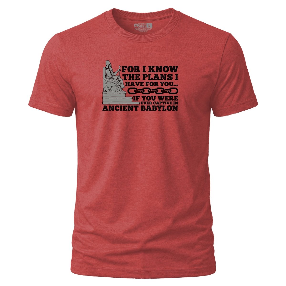 Shirt - Plans for you? - Tee - The Reformed Sage - reformed - reformed_gifts - christian_gifts