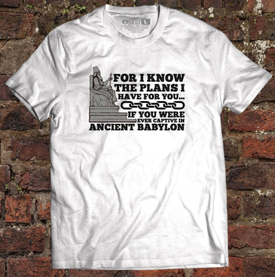 Shirt - Plans for you? - Tee - The Reformed Sage - reformed - reformed_gifts - christian_gifts