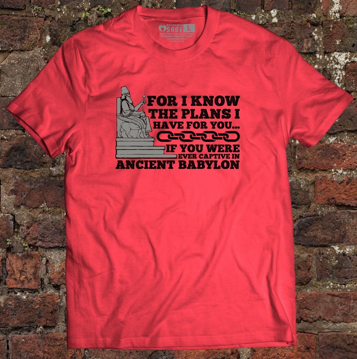 Shirt - Plans for you? - Tee - The Reformed Sage - reformed - reformed_gifts - christian_gifts