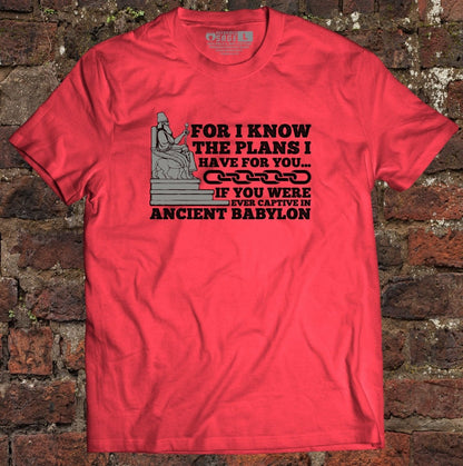 Shirt - Plans for you? - Tee - The Reformed Sage - reformed - reformed_gifts - christian_gifts