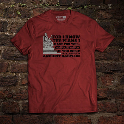 Shirt - Plans for you? - Tee - The Reformed Sage - reformed - reformed_gifts - christian_gifts