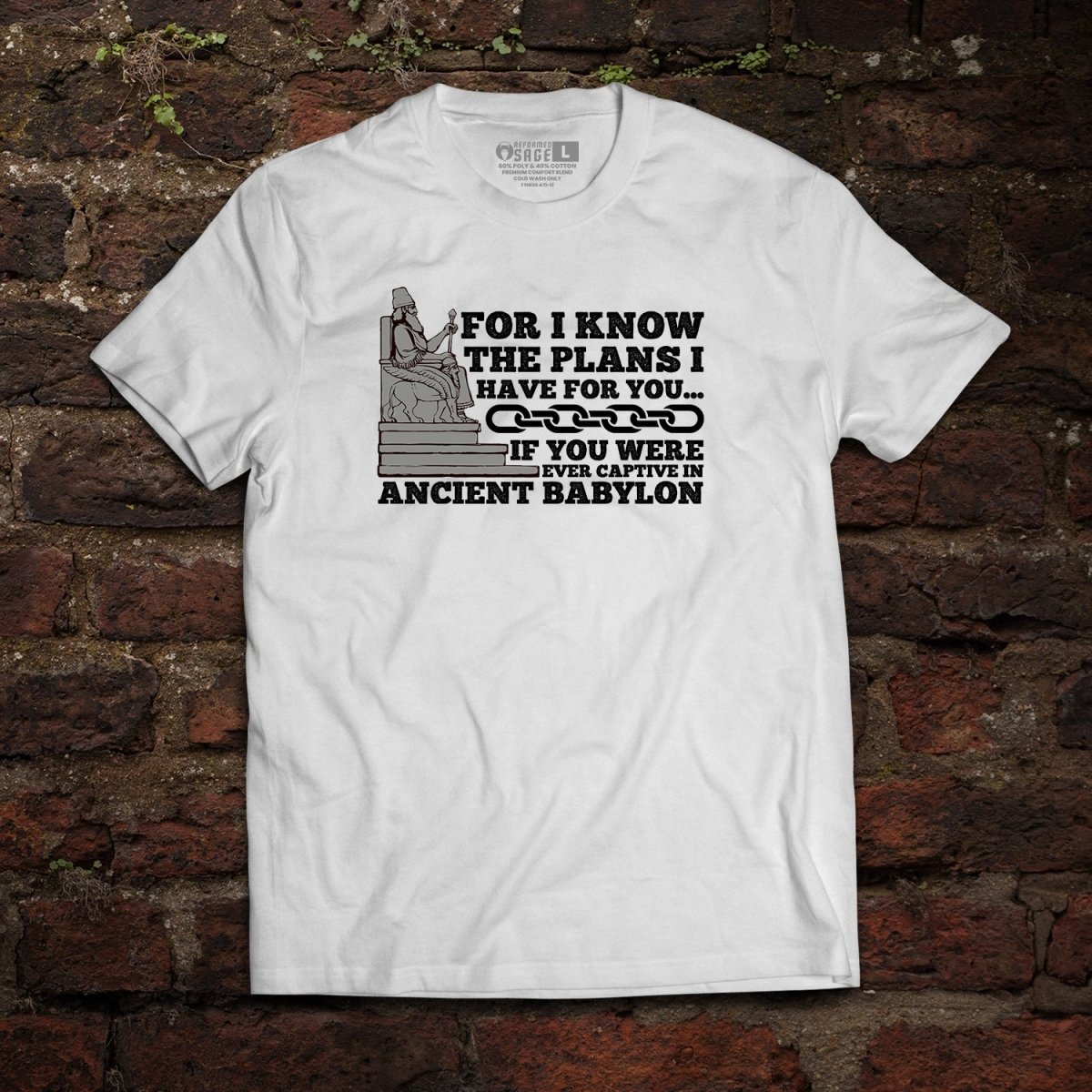 Shirt - Plans for you? - Tee - The Reformed Sage - reformed - reformed_gifts - christian_gifts