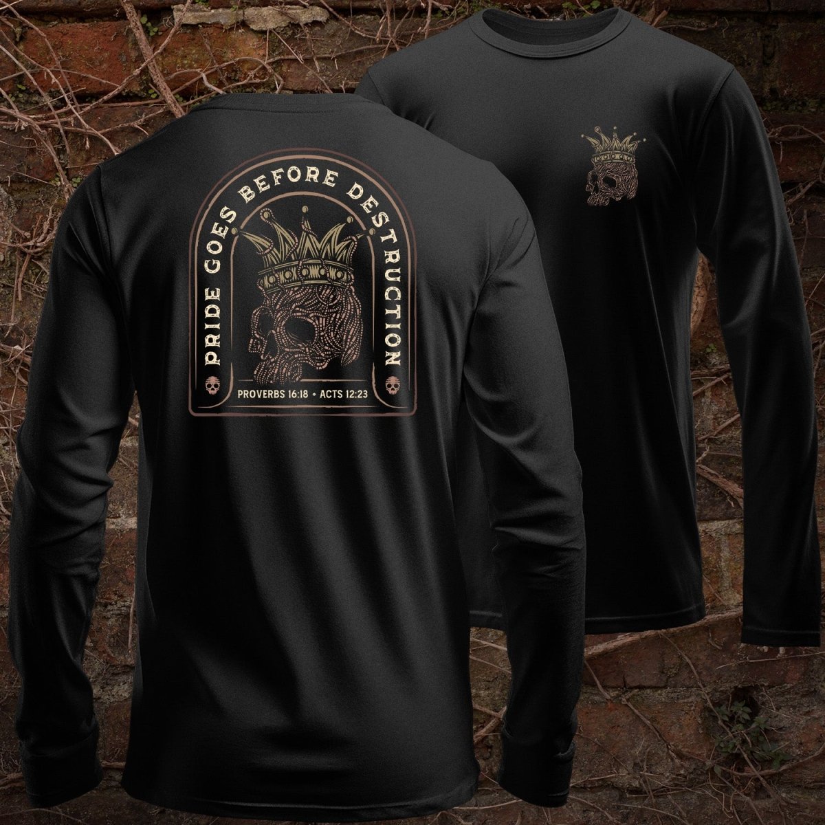 LS - Pride Goes Before Destruction - Long Sleeve Tee - The Reformed Sage - reformed - reformed_gifts - christian_gifts