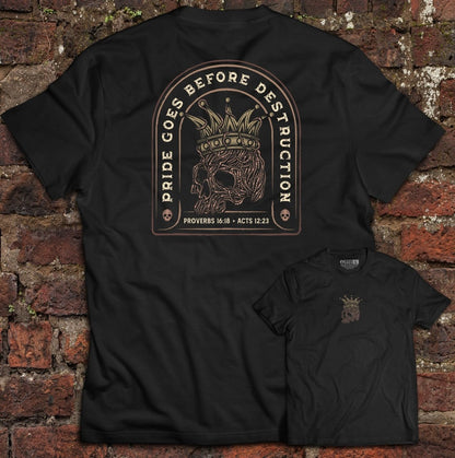 Shirt - Pride Goes Before Destruction - Tee - The Reformed Sage - reformed - reformed_gifts - christian_gifts